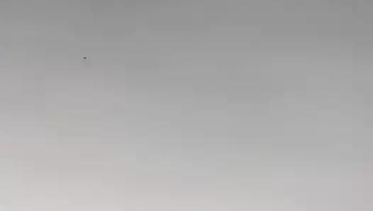 japon amatör