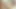 Private.com - ispanyol genç anastasia breaklyn kedi dövülerek!