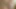 Fışkırtan ve döl değiştiren iki seksi hatunla ateşli üçlü seks