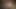 Seksi tavşan kız amına mastürbasyon yapıyor