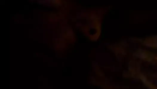 Shonta'nın ilk lapdaince videosu.