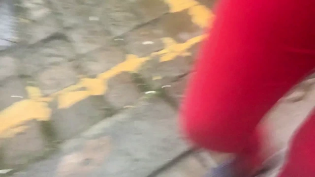 Pompalı kedi, sokak yürüyüşü