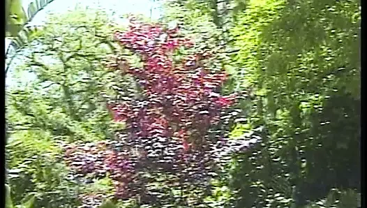 Muhteşem abanoz civciv havuz kenarında şezlong üzerinde becerdin alır