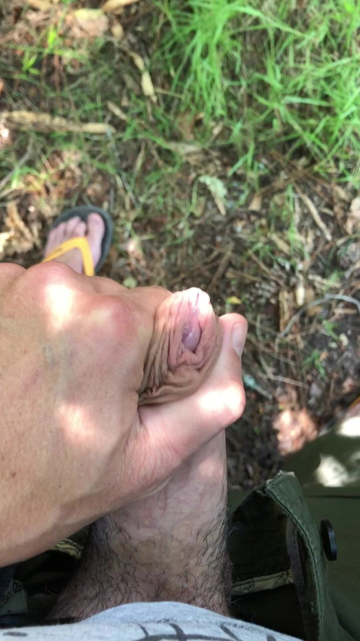 Cum Forest 2