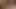 Im Pornokino geblasen