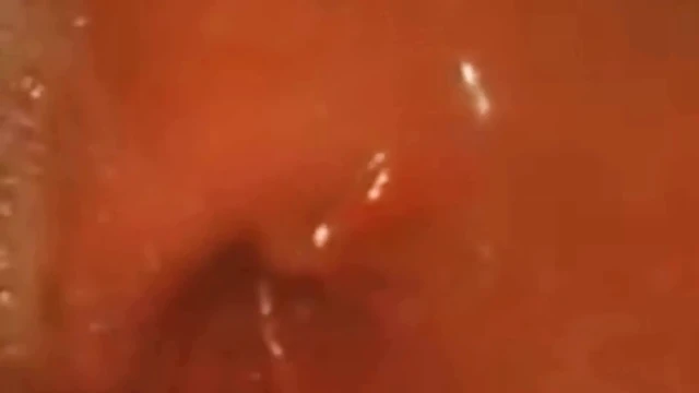 İçime turuncunun yolculuğu