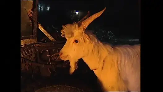 Çıplak kadın yanıyor vol.4 (tam film)