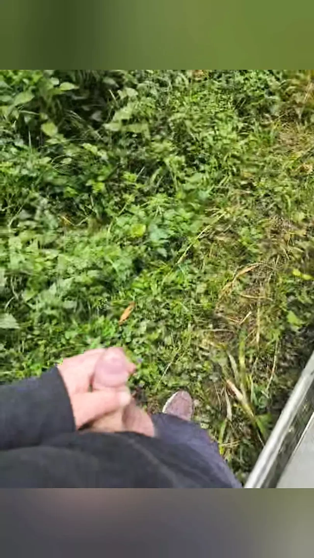 Döl ve oyuncak oyunu