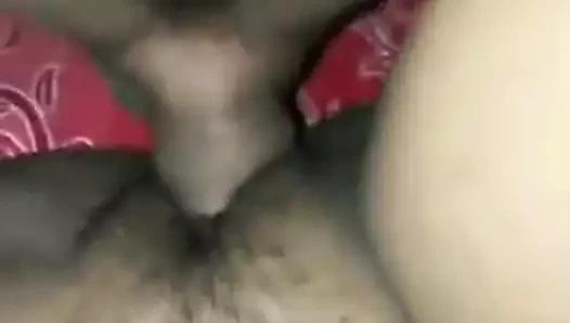 Desi kız kahrolası ve kedi yalama