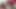 Beyaz adam zenci iri güzel kadınla oral üçlü sekste yarağını emdiriyor