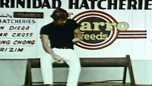 Lasse braun - pornonun öncüsü