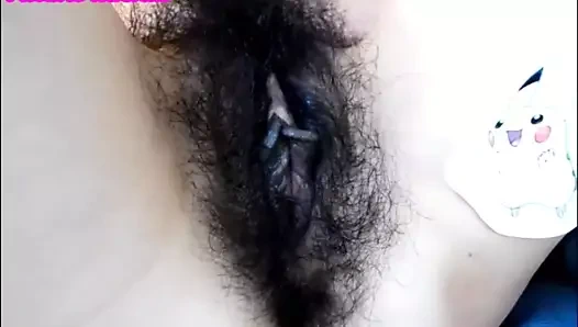 Zanderstormx'in güzelliği tüylü kedi ve pikachu birlikte