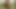 Büyük memeli ve götlü güzel esmer piliç yarak emiyor bakış açısı tarzı