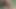 Bangladeşli seksi kız jesmin sert sikişiyor