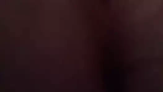 Islak kedi oyunu + çığlık