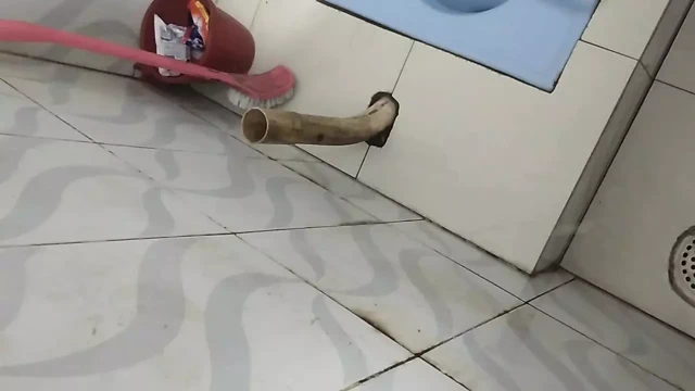 Bangladeshi boy first time