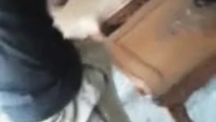 Sri Lankan Horny Boy