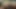 Bu döl sürtüğü için tıkaç ve döl paylaşımı, Datzzlingfacegirl