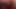 Viral video 2019
