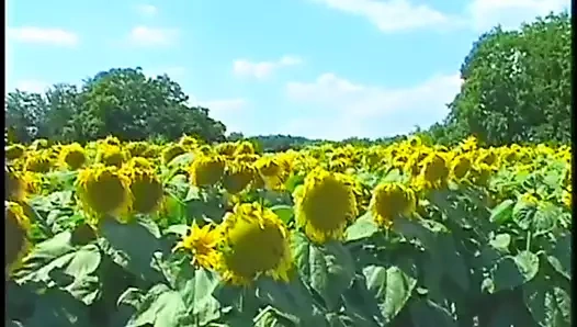 büyük büyük babes