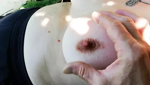 Der Kuh die Euter melken