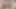 Seks Arap çift karımı anal sikiyor