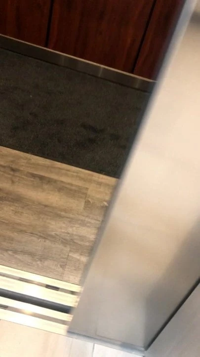 Otel salonuna ve asansöre işemek.
