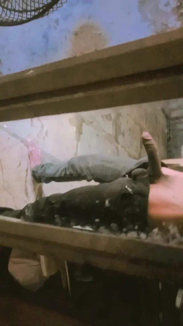 Büyük yarak seni sikiyorum kız arkadaşım bu benim düşüncem