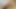 Video oyunları oynarken ineğin büyük, kalın yarağını emiyor.