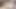 Büyük beyaz yarak inek ilk büyük siyah yarağını alırken büyük miktarda döl atıyor