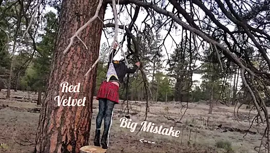 Kırmızı kadife asılı kama