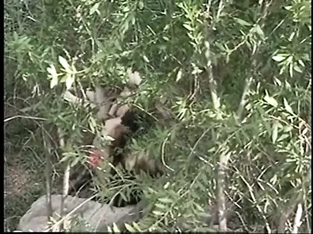 Sapık hikayeler 5 - fanteziyi keşfedin