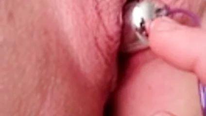 kedi hakkında her şey