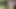 Azgın orta yaşlı seksi kadın aya mikami açık havada sapık xxx bölümünde dölleniyor - en iyi jav!