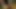 Gerçek sürtük partisi - sarışın Nicole ve Danica vahşi bir araba yolculuğundan sonra açık havada dağınık bir üçlü grup seks ve yüze boşalma için alınıyor