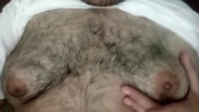 Pecho peludo