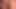 Bilinmesi gereken bir kedi