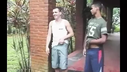 Şelale n taşaklar 13 DVD