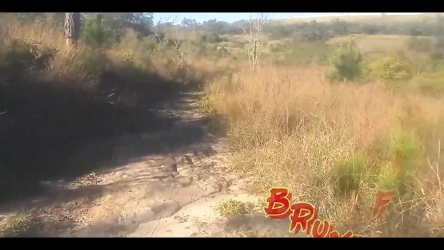 Bombomd4 köprüde sikişmek istedi... Muhafızlar Geldi!! Full N Xvideos Red izle