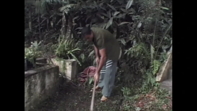 Tayland ladyboy - cilt. #01