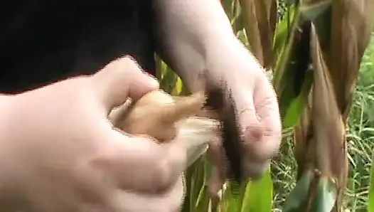 Değiştirme dildo bulundu