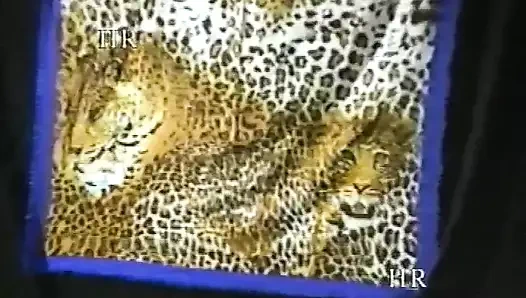 90'lardan vhs'de İtalyan seksi