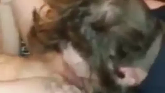 Koca temizler yukarı bbc Creampie itibaren hotwife kedi