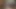derleme cumshot kıllı yarak