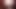 Pinou001