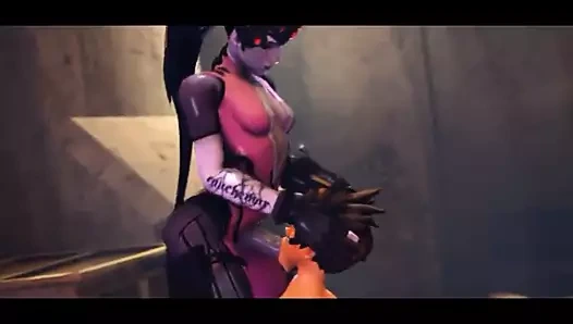 Wily dul ve arsız pusu