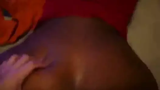 ırklararası köpek stili