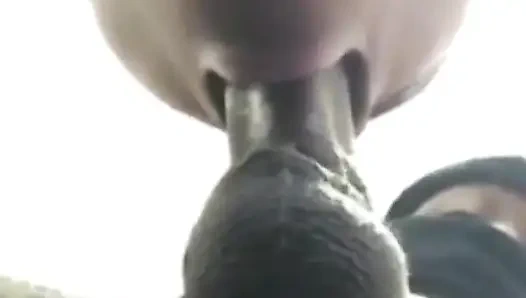 Mükemmel dudaklı süper ıslak sakso