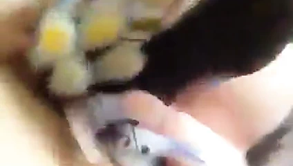 P ayrıca ağrı içindir.