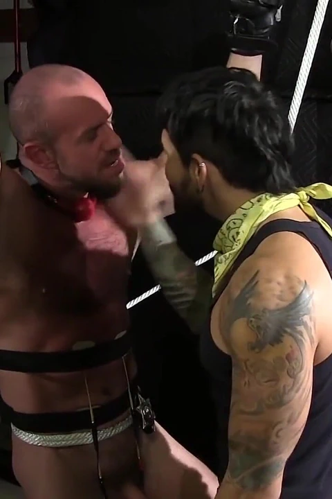 Kaslı polis Matt defiant